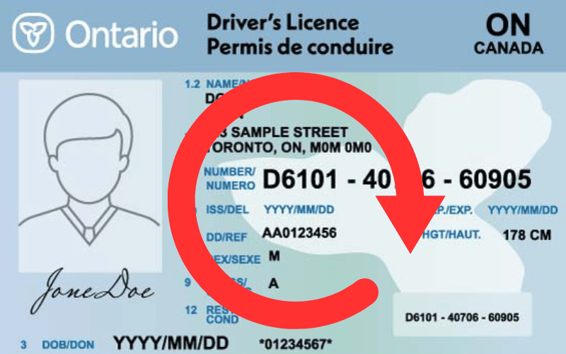 renew-drivers-licence-Ontario